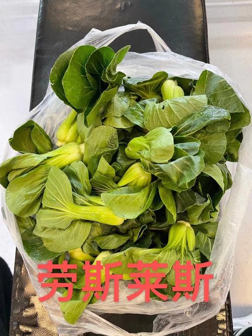 上海农村蔬菜网