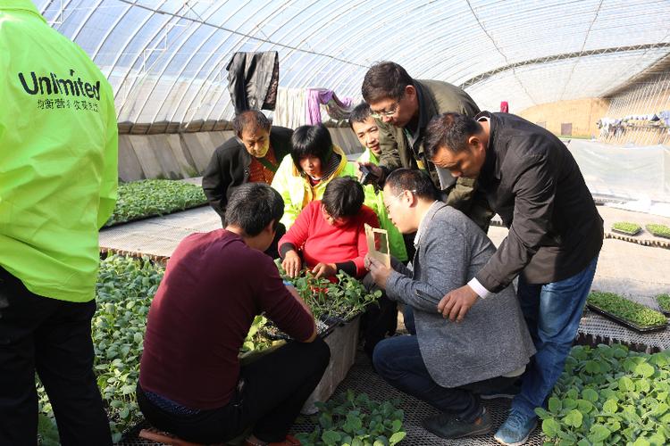 东营农村蔬菜种植技术培训