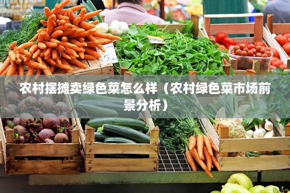 临沂农村蔬菜种植管理条例