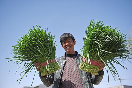 内蒙古农村都吃蔬菜吗视频