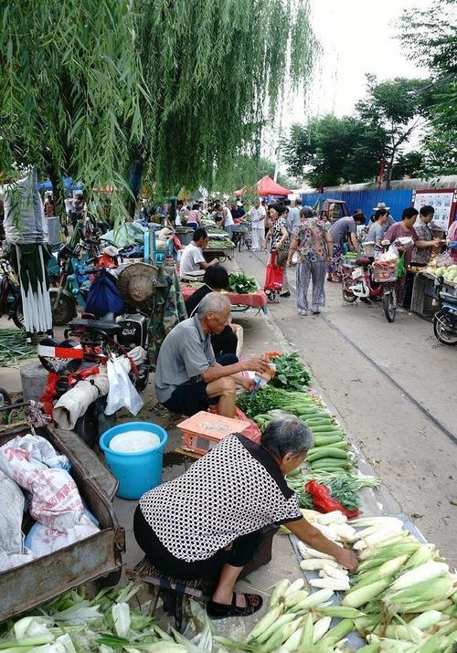 农村买蔬菜的街道照片