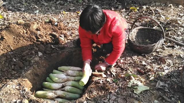 农村储存蔬菜方法