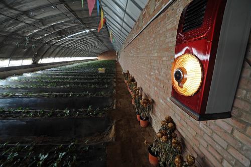 农村大棚蔬菜取暖器