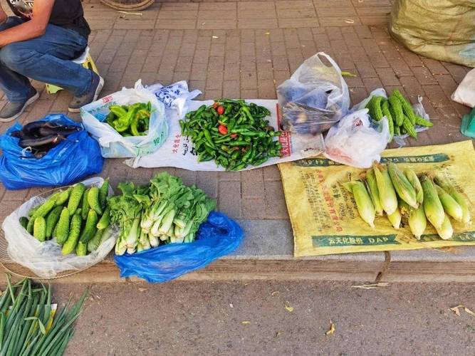 农村大街小巷卖蔬菜图片
