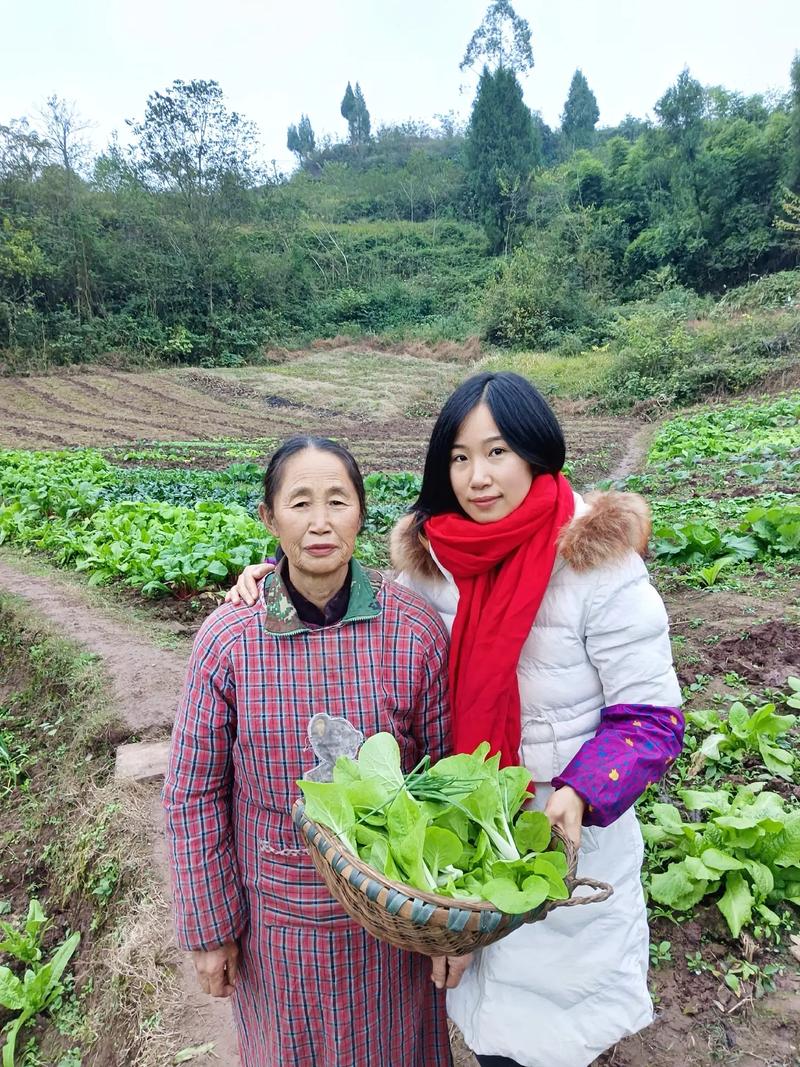 农村姑娘去地里摘蔬菜