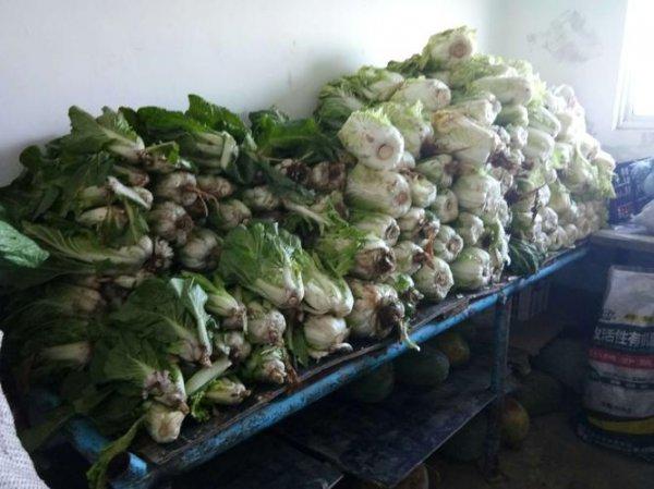 农村家庭储存蔬菜