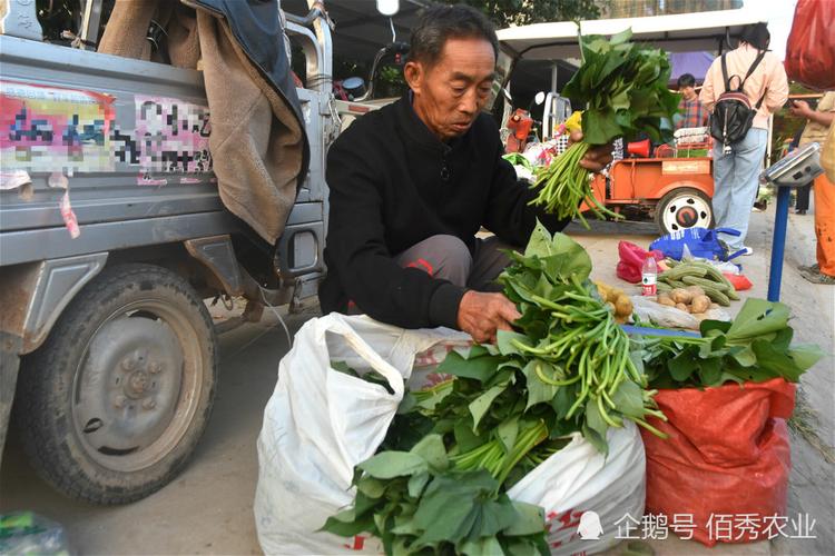 农村小伙在城里卖蔬菜视频