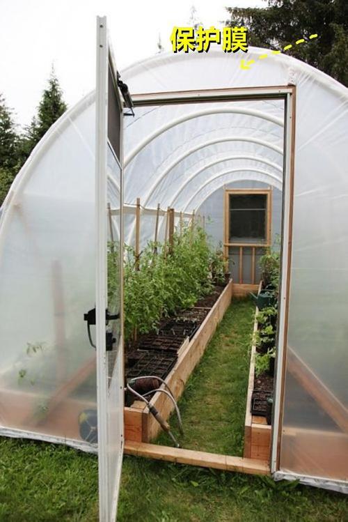 农村庭院建造蔬菜大棚图片