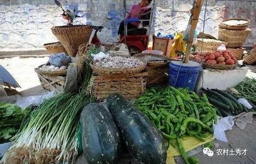 农村每天都有什么蔬菜卖