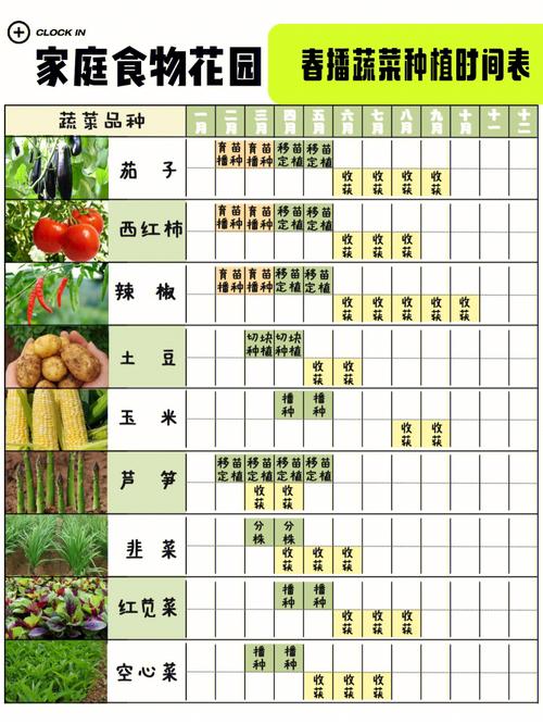 农村种蔬菜周期