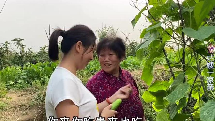 农村种蔬菜搞笑视频下载