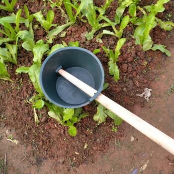 农村给蔬菜浇水工具图片