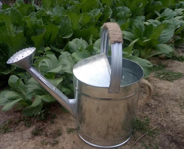 农村给蔬菜浇水工具有哪些