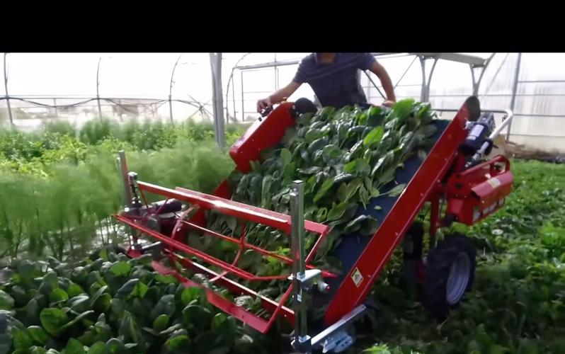 农村自制大棚蔬菜机器视频