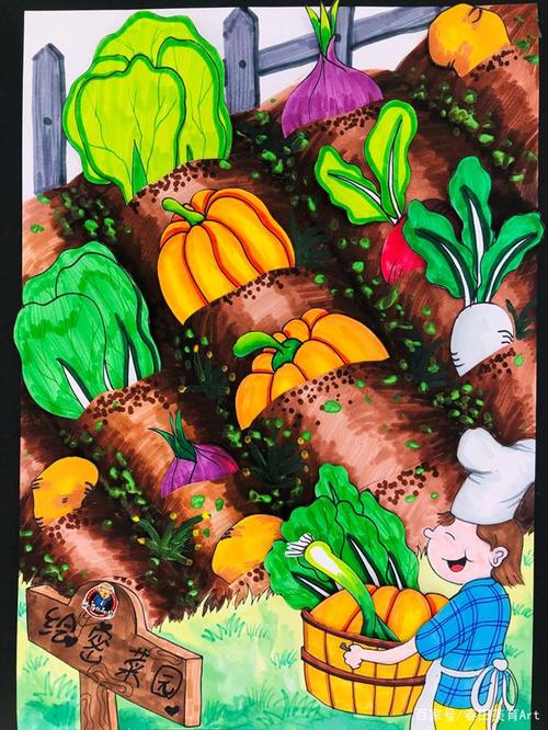 农村菜地蔬菜画