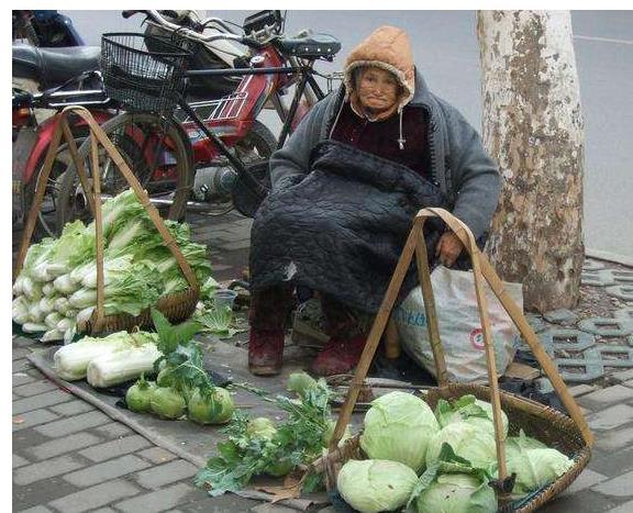 农村蔬菜买不起