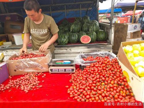 农村蔬菜卖5元一斤