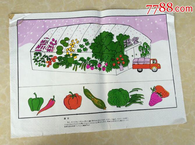 农村蔬菜大棚绘画