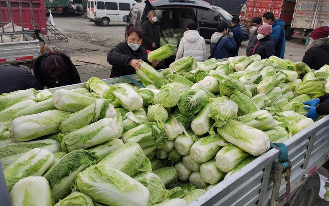 农村蔬菜市场