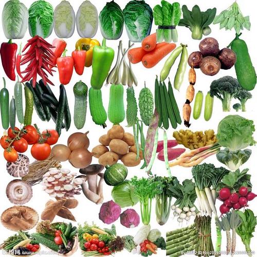 农村蔬菜有哪些优点与缺点