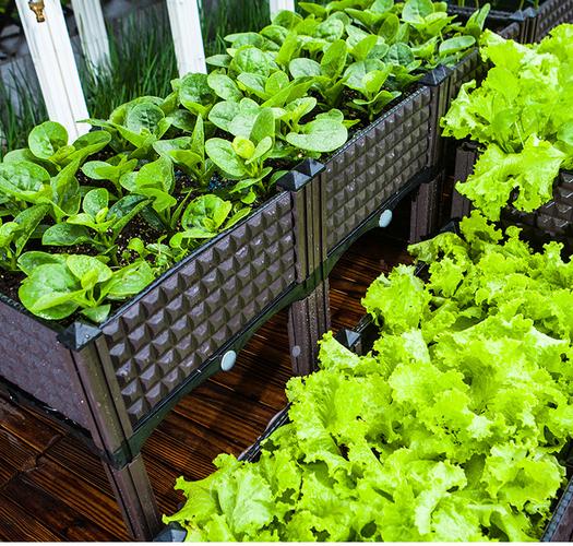 农村蔬菜种植特色容器设计