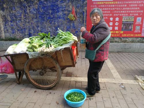 农村阿婆卖蔬菜图片
