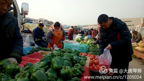 农村集市卖蔬菜视频下载