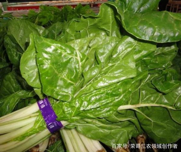农村2元一斤蔬菜