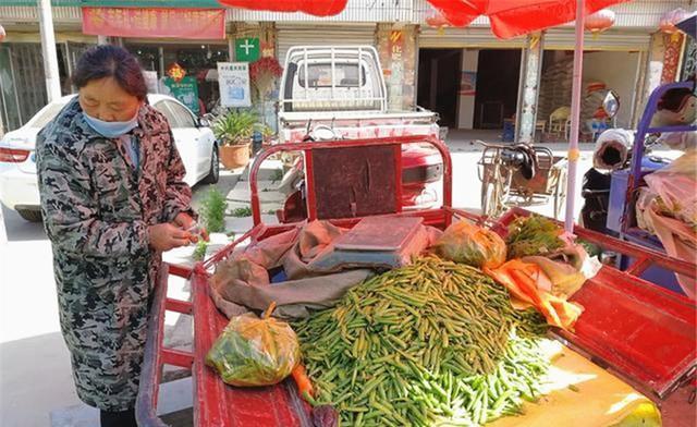 农村6元一斤蔬菜
