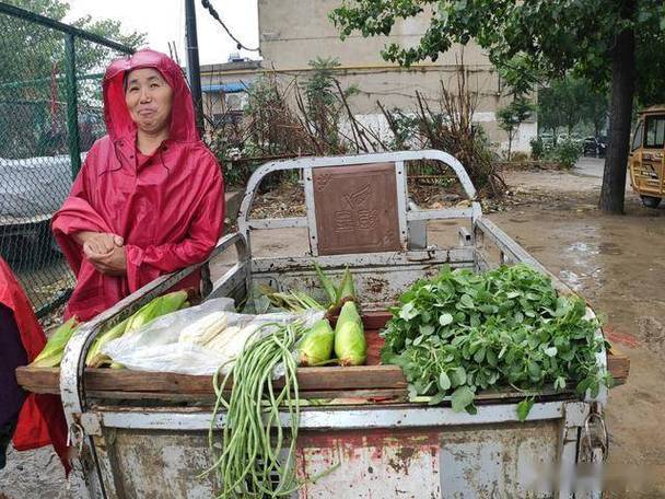 农村76岁老人卖蔬菜视频