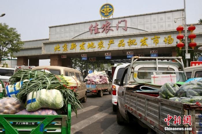 北京农村蔬菜批发电话号码