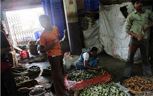 印度农村收割蔬菜图片