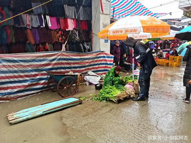 四川农村下大雨卖蔬菜视频