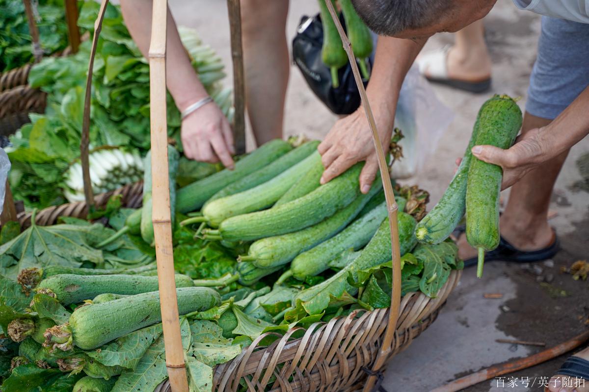 四川达州农村吃蔬菜图片