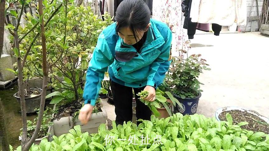 城里女孩来农村吃蔬菜图片
