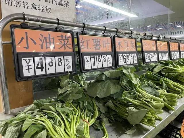 宁波农村蔬菜涨价