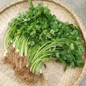 安徽农村蔬菜图片