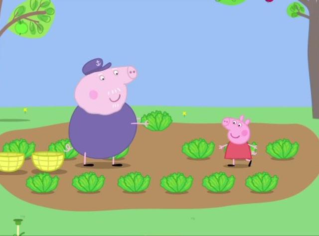 小猪佩奇去农村摘蔬菜视频