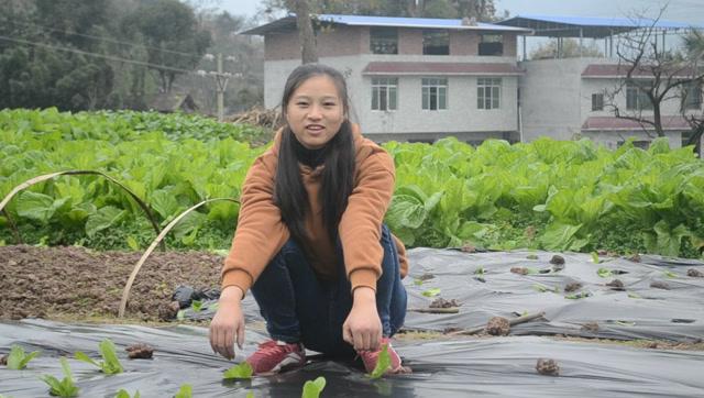 广东农村姑娘种植蔬菜吗