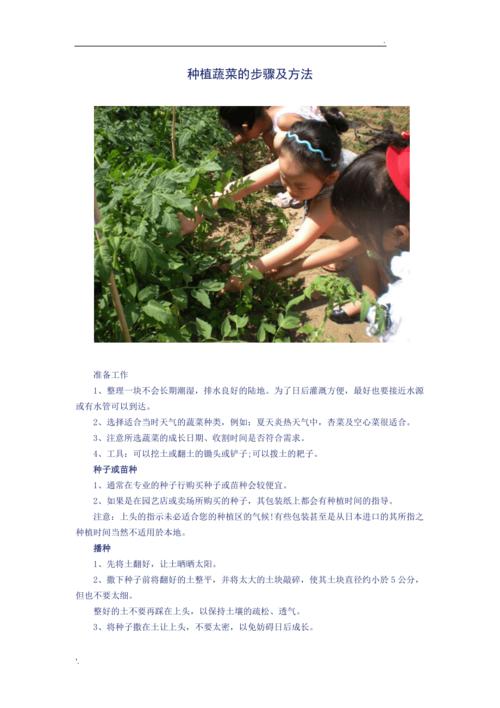 广东农村种植蔬菜视频教程