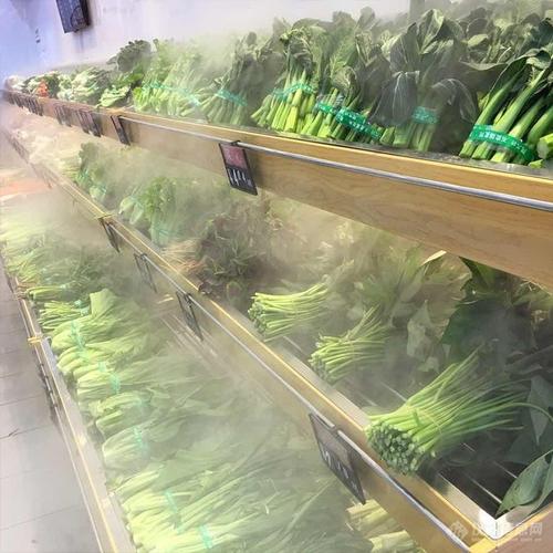 开一家农村蔬菜超市赚钱吗