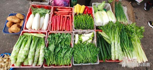 想在农村卖蔬菜怎么做