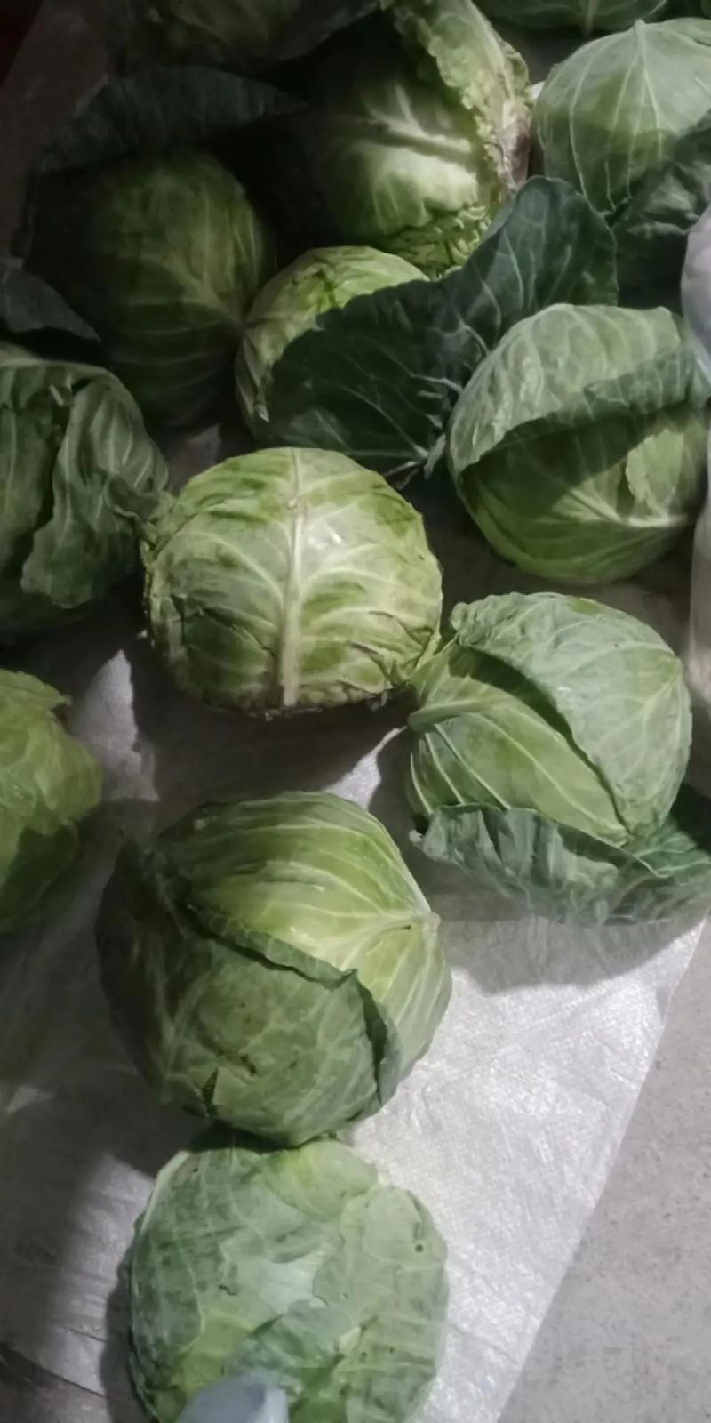 新疆农村蔬菜