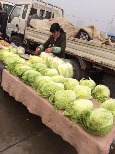 本地农村卖蔬菜