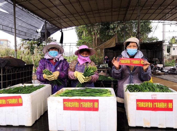 武汉农村捐赠蔬菜给政府