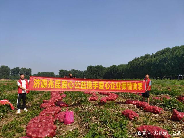 济宁农村捐赠蔬菜给政府