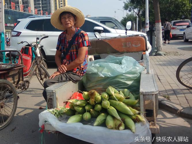 深圳农村小伙卖蔬菜