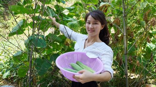 湖北农村姑娘种蔬菜图片