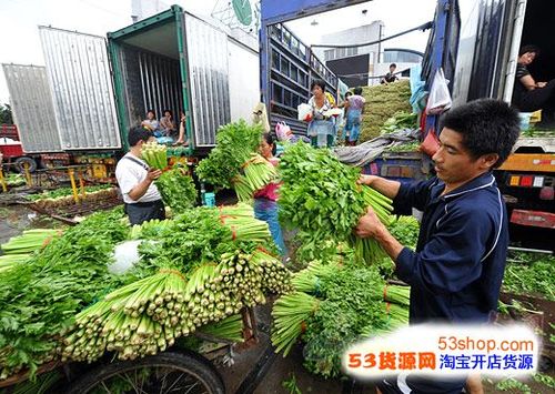 湖北鄂州农村购买蔬菜