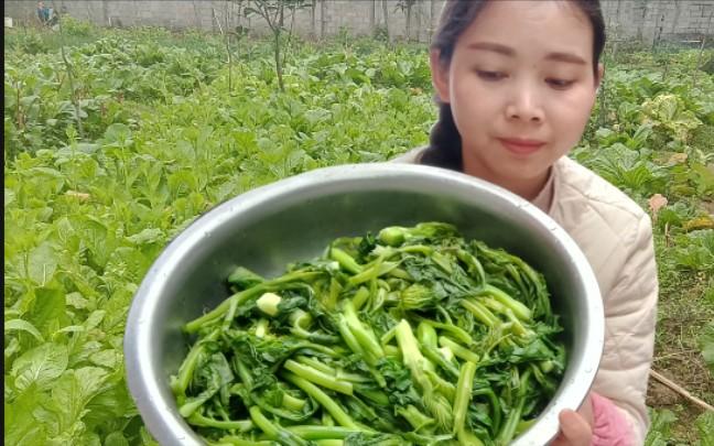 湖南农村姑娘吃蔬菜图片